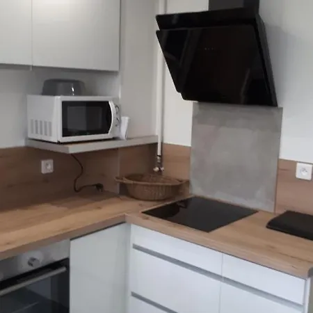 Appartement Le Mangin - Rent4night Grenoble Extérieur photo
